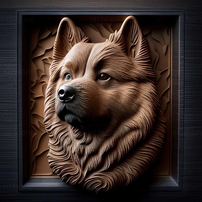 3D model Eurasier dog (STL)